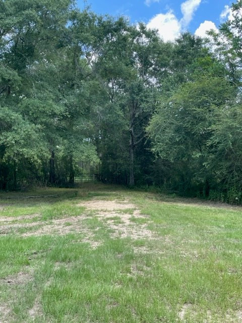 1130 Dudley Rimes Road Magnolia, MS 39652 - Photo 8 of 18 Photo 8