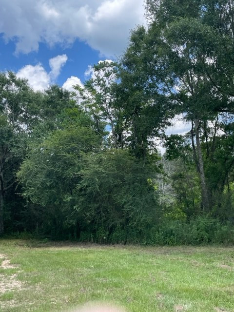 1130 Dudley Rimes Road Magnolia, MS 39652 - Photo 9 of 18 Photo 9