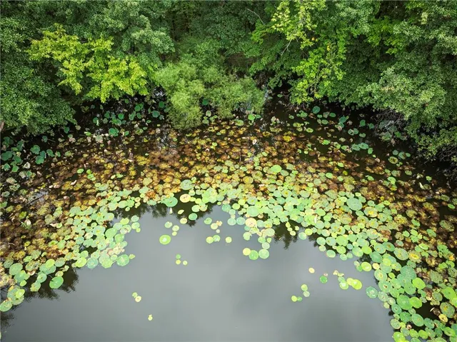 $322,000 | 19739 185th Road, Marshall, MO 65340