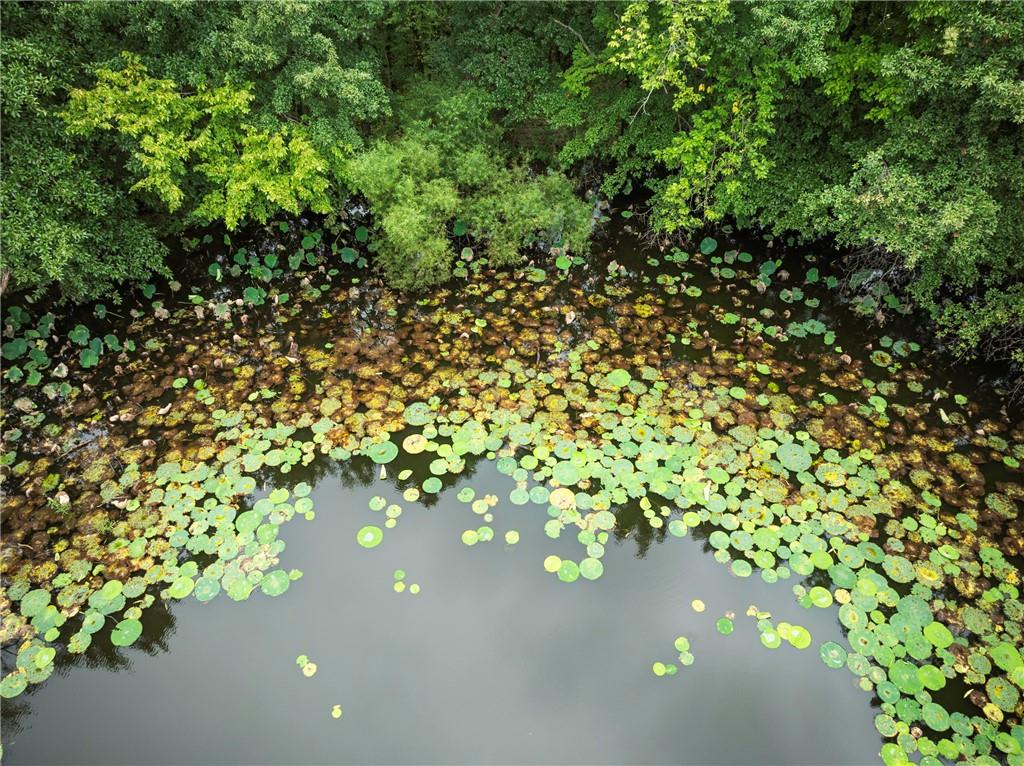 19739 185th Road Marshall, MO 65340 - Photo 42 of 49