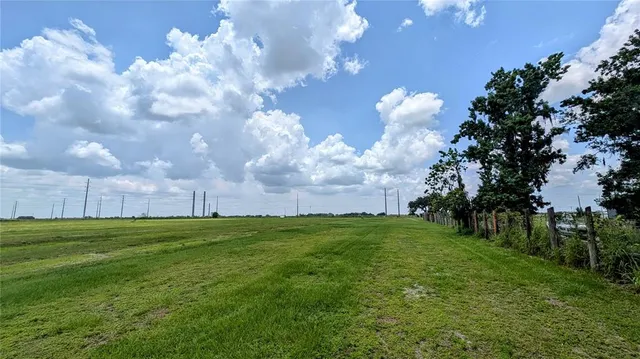 a view of a grassy field with trees in the background