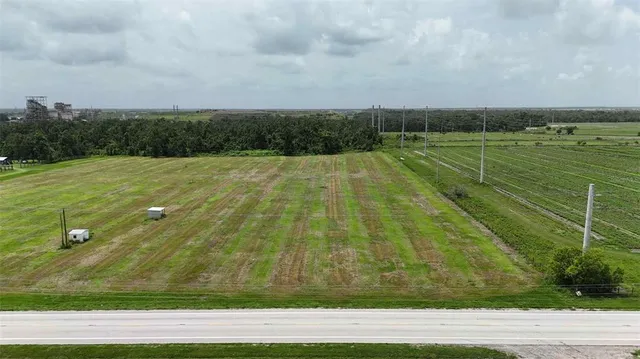 a view of a yard with an empty space and plants
