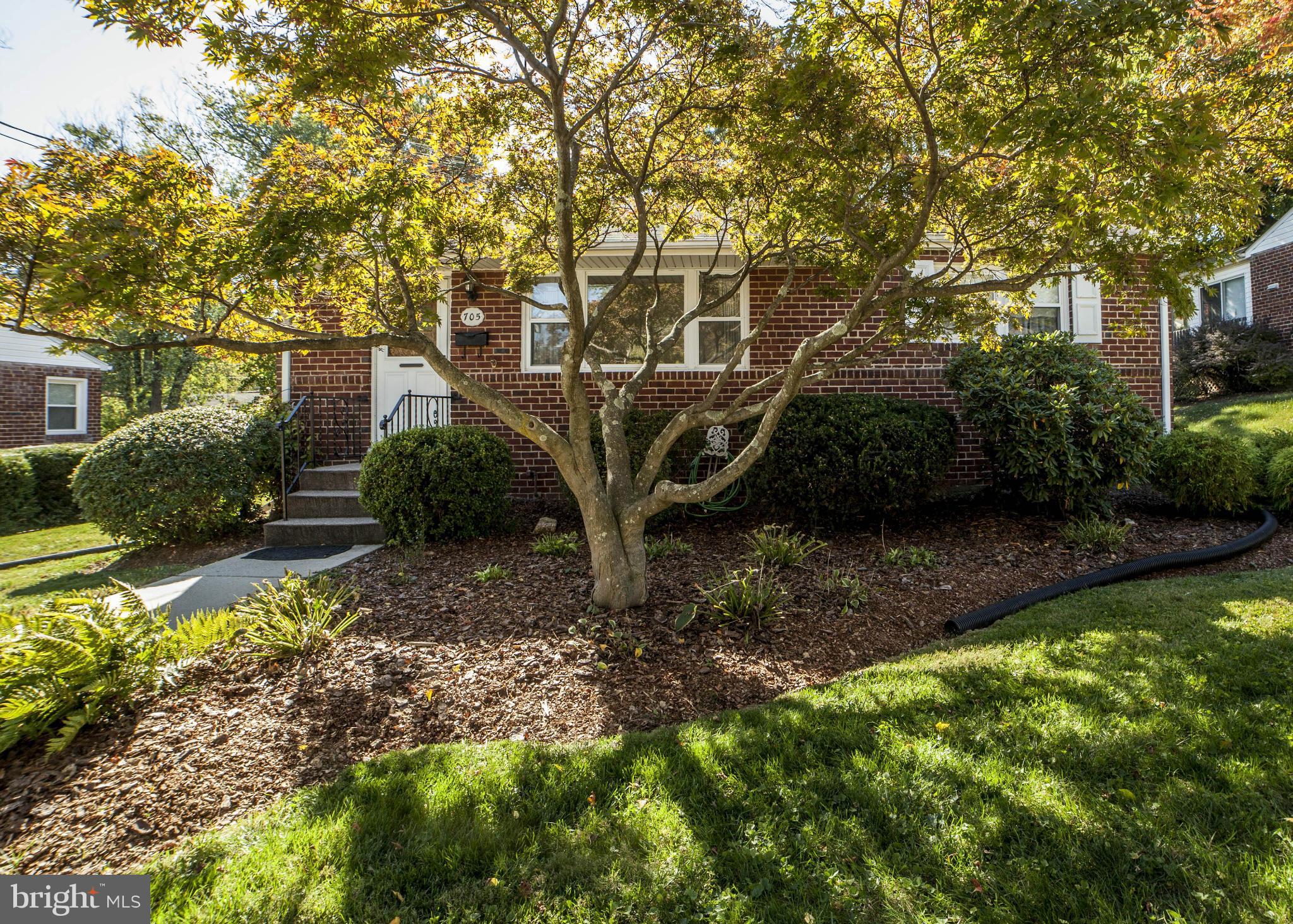 705 Robert Road Rockville, MD 20850 - Photo 17 of 30 Exterior (General)