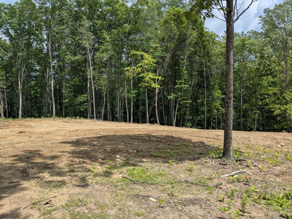 Lot 6 Old Colony Road Princeton, MA 01541 - Photo 5 of 6