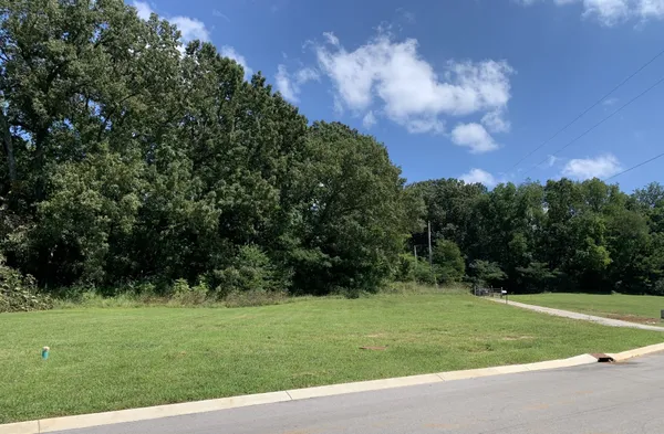 a view of a grassy field
