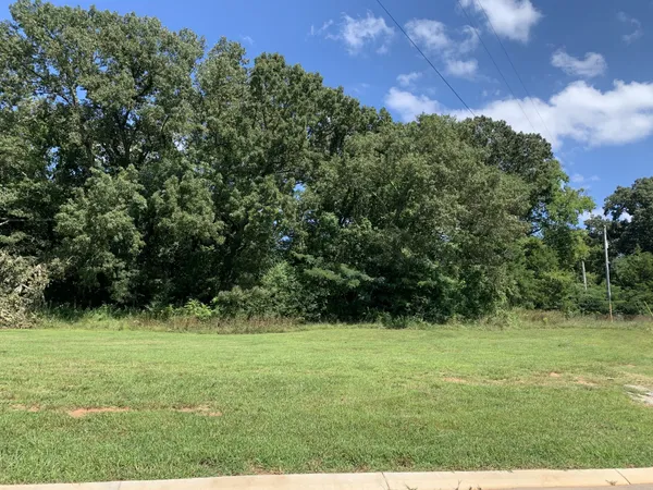 a view of outdoor space with green field and trees