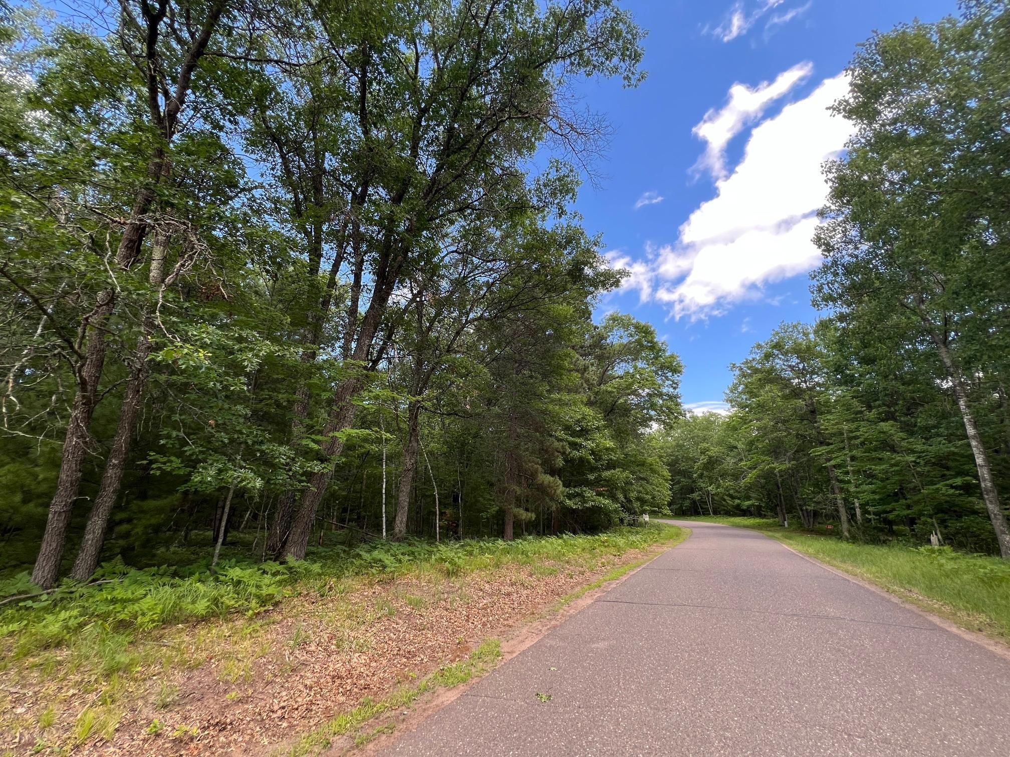 Lot 15 Loon Lake Road Danbury, WI 54830 - Photo 5 of 20