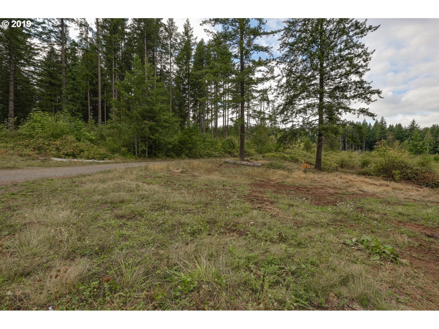 20188 South Redland Road Oregon City, OR 97045 - Photo 15 of 31 a view of outdoor space with trees