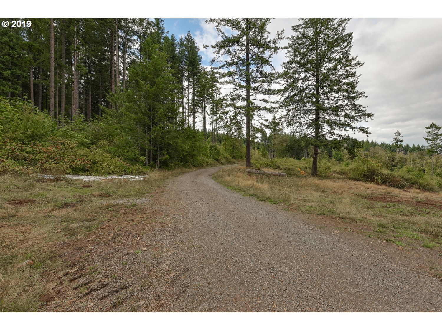 20188 South Redland Road Oregon City, OR 97045 - Photo 17 of 31 a view of a dirt road with large trees