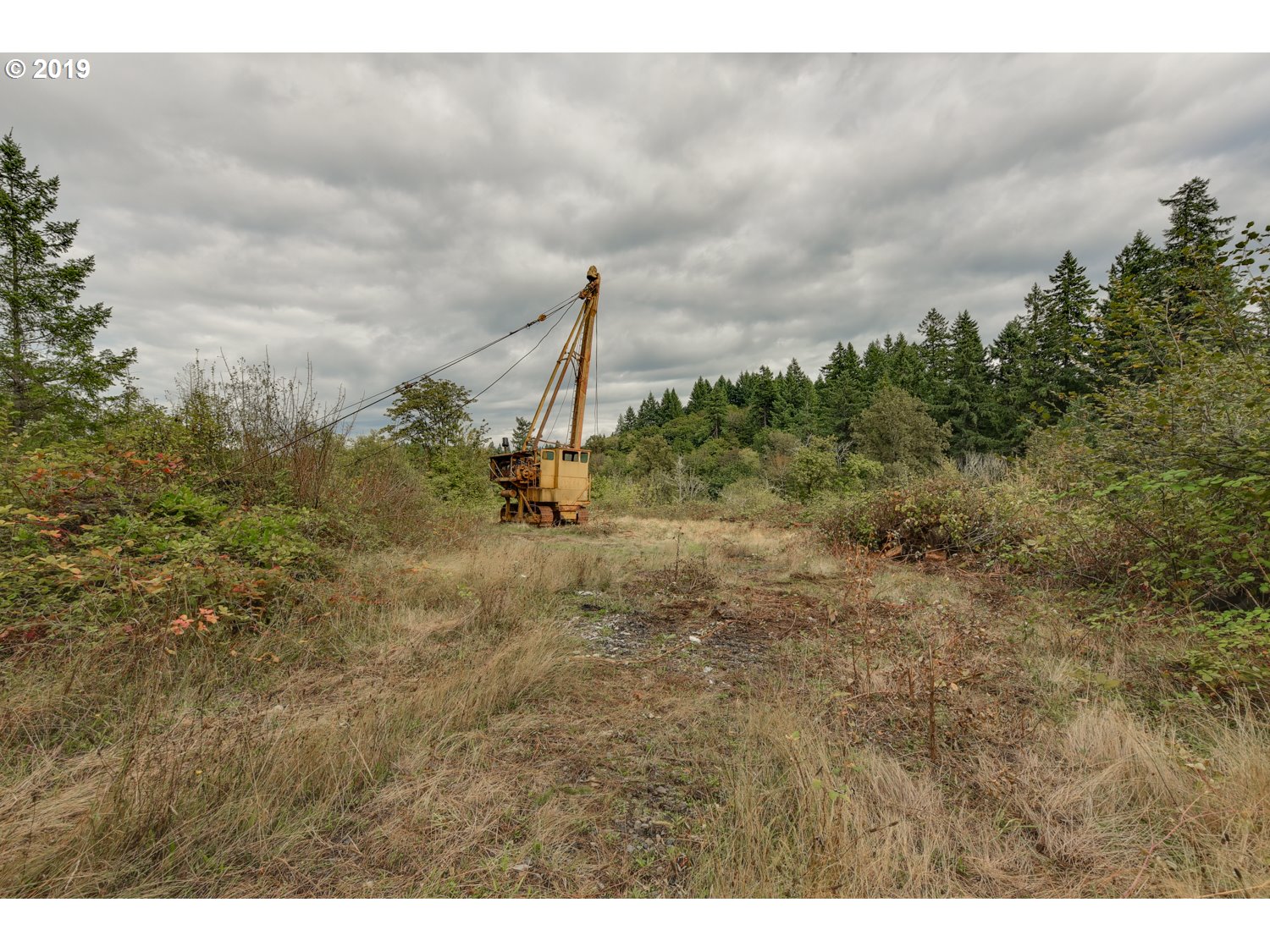 20188 South Redland Road Oregon City, OR 97045 - Photo 18 of 31 a view of a dry yard with trees