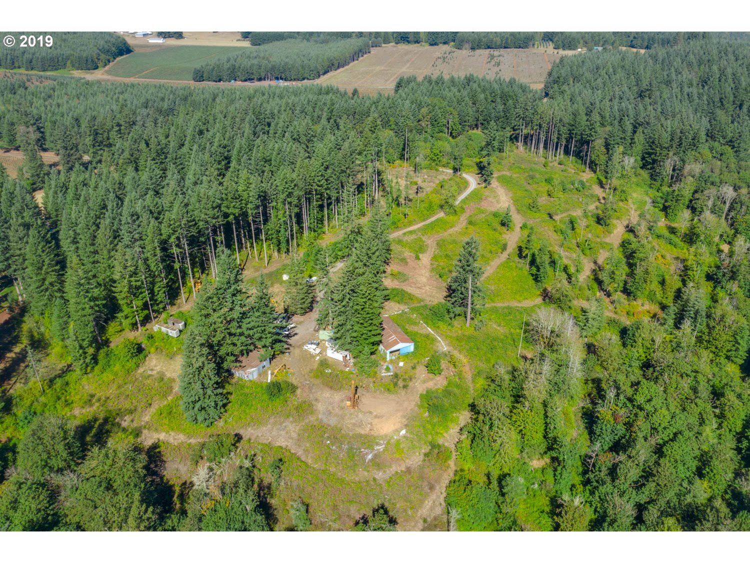 20188 South Redland Road Oregon City, OR 97045 - Photo 22 of 31 a view of a lush green forest with trees and some houses