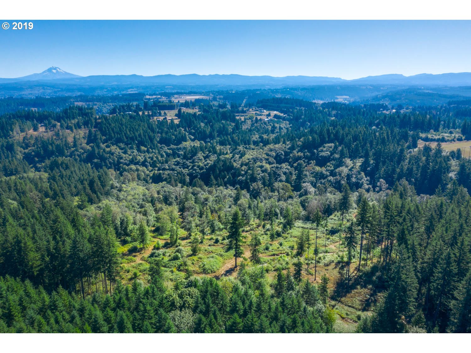20188 South Redland Road Oregon City, OR 97045 - Photo 24 of 31 a view of a lush green hillside and a houses