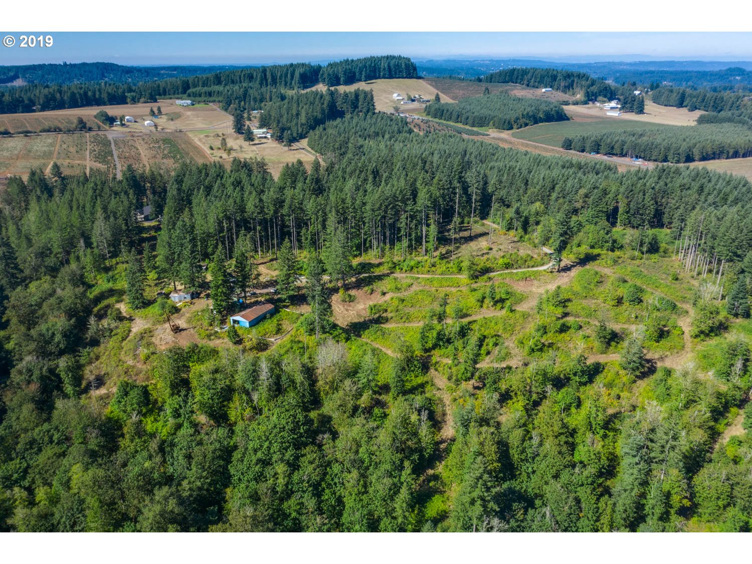 20188 South Redland Road Oregon City, OR 97045 - Photo 25 of 31 a view of a lush green forest with a lake view