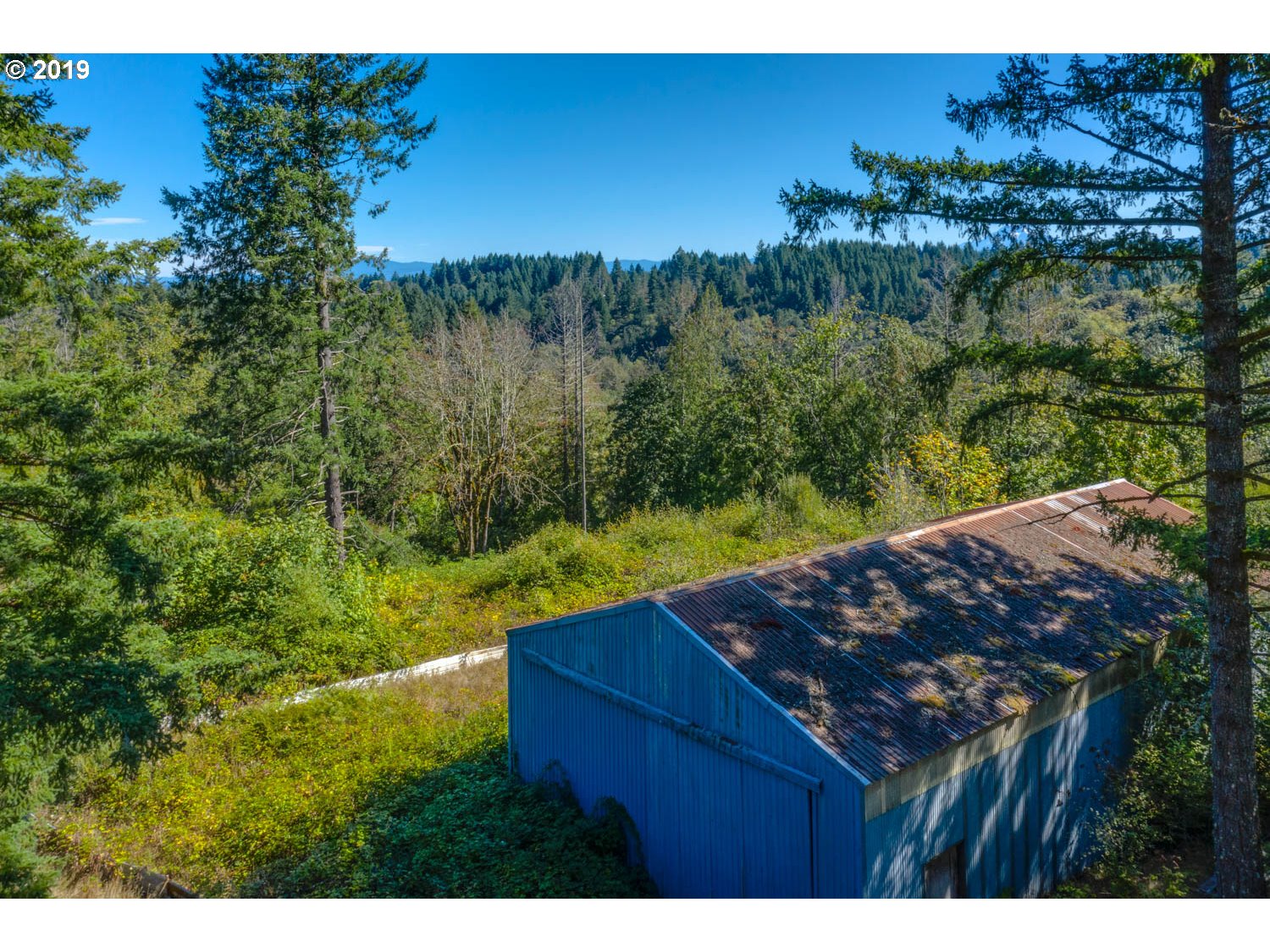 20188 South Redland Road Oregon City, OR 97045 - Photo 28 of 31 a view of a yard with a tree