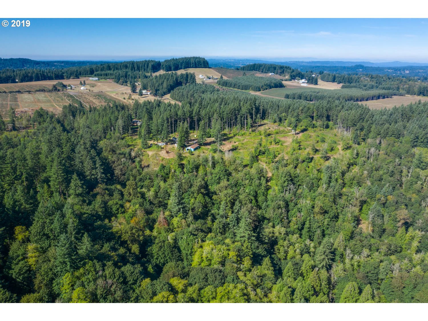 20188 South Redland Road Oregon City, OR 97045 - Photo 30 of 31 a view of a city and a lush green forest