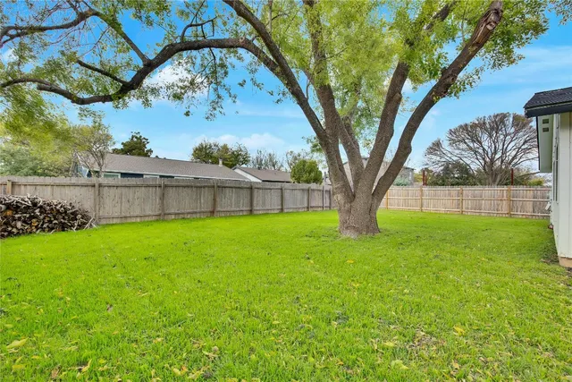 a view of a yard with a large tree