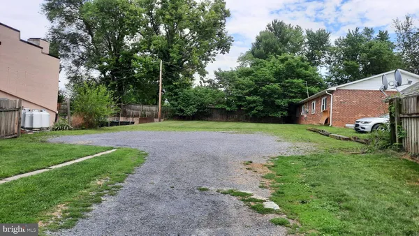 a view of a backyard with large trees