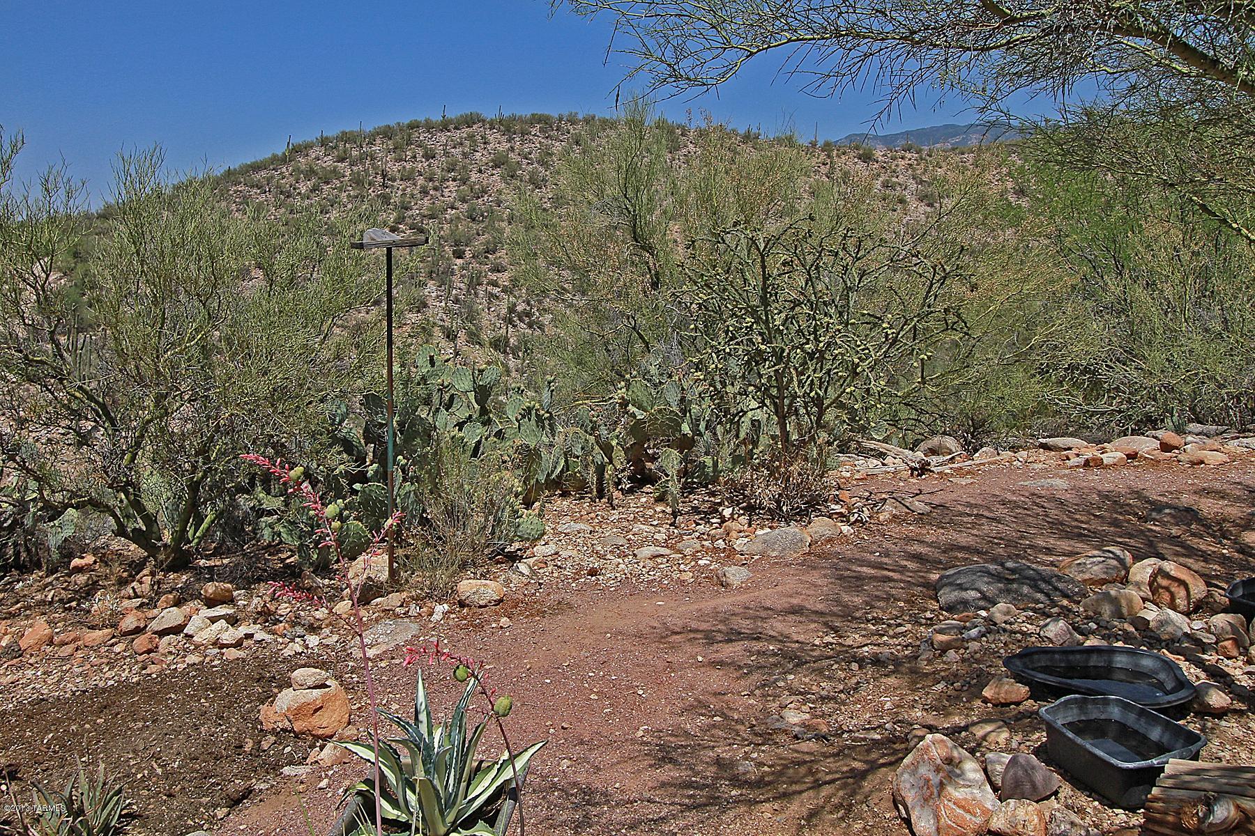 1909 East Buck Ridge Place Tucson, AZ 85737 - Photo 37 of 44