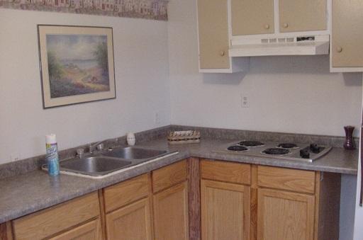 7369 Riverview Road Thomson, IL 61285 - Photo 3 of 6 a kitchen with granite countertop a sink a stove and cabinets