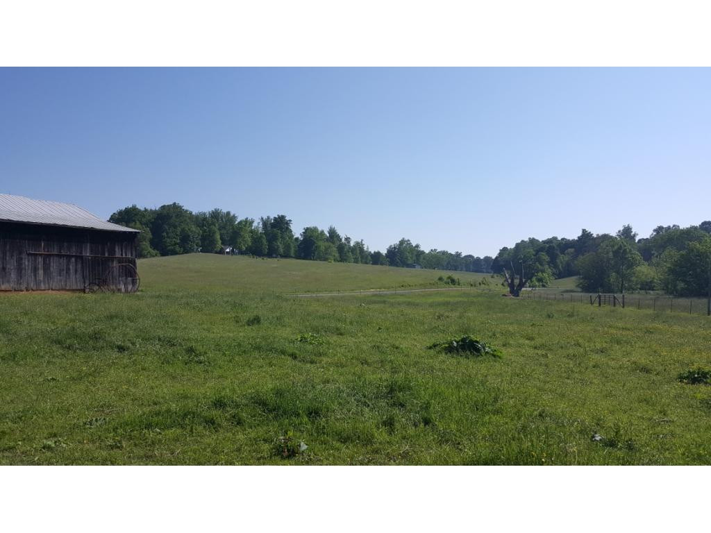 1670 Holly Creek Road Greeneville, TN 37745 - Photo 12 of 31 Photo 12