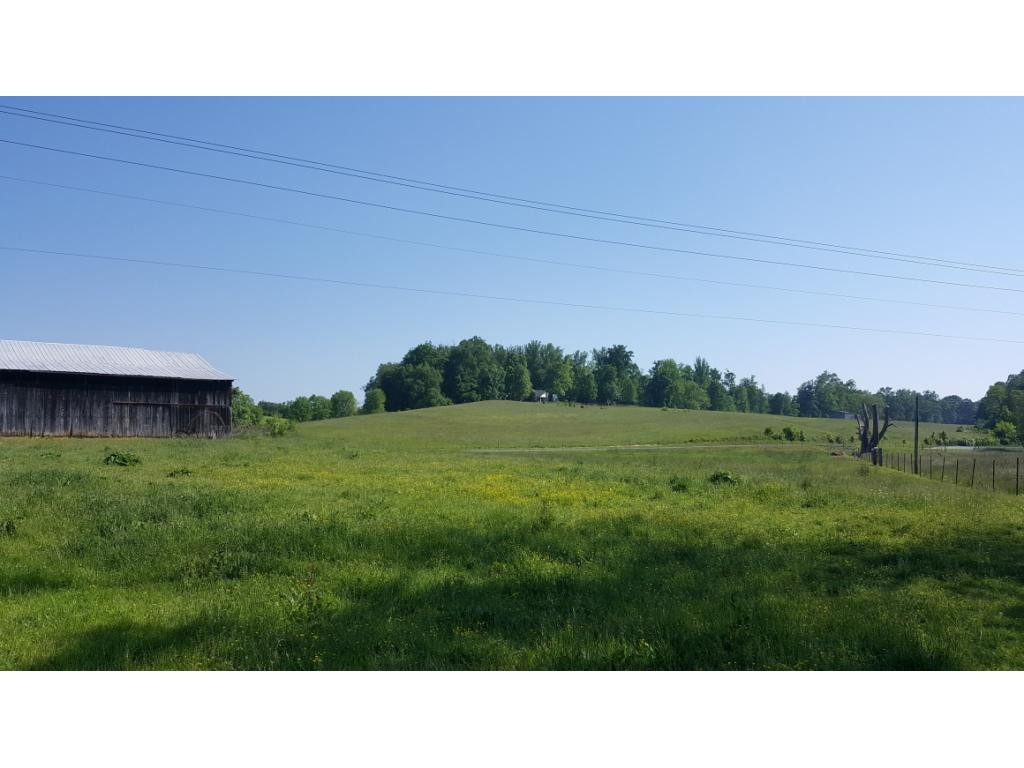 1670 Holly Creek Road Greeneville, TN 37745 - Photo 15 of 31 Photo 15