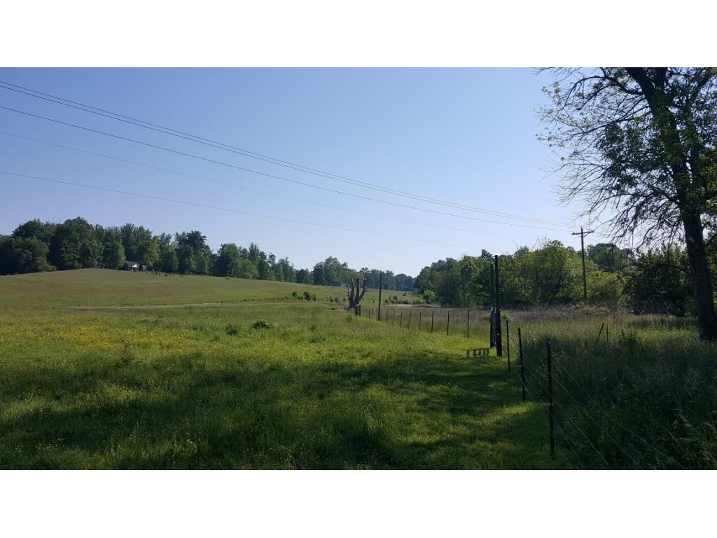 1670 Holly Creek Road Greeneville, TN 37745 - Photo 16 of 31 Photo 16
