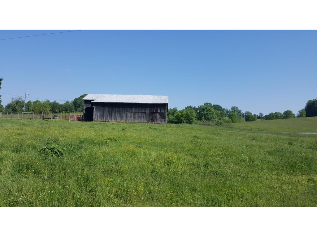 1670 Holly Creek Road Greeneville, TN 37745 - Photo 18 of 31 Photo 18