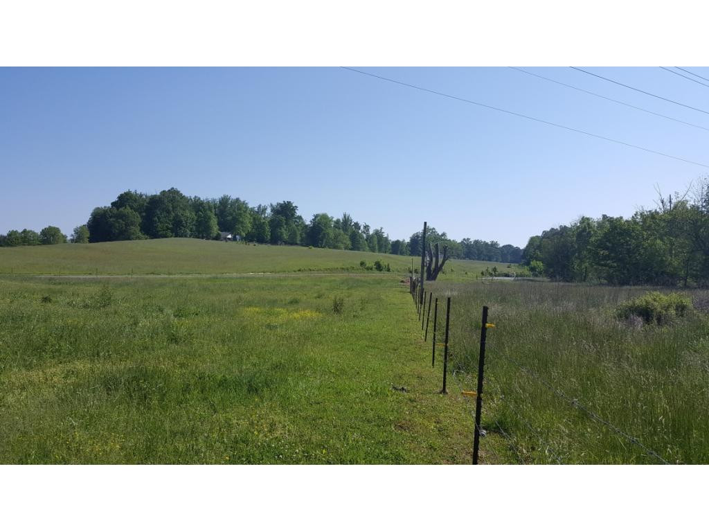 1670 Holly Creek Road Greeneville, TN 37745 - Photo 19 of 31 Photo 19