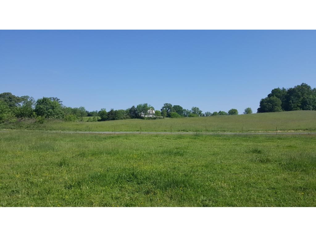 1670 Holly Creek Road Greeneville, TN 37745 - Photo 20 of 31 Photo 20