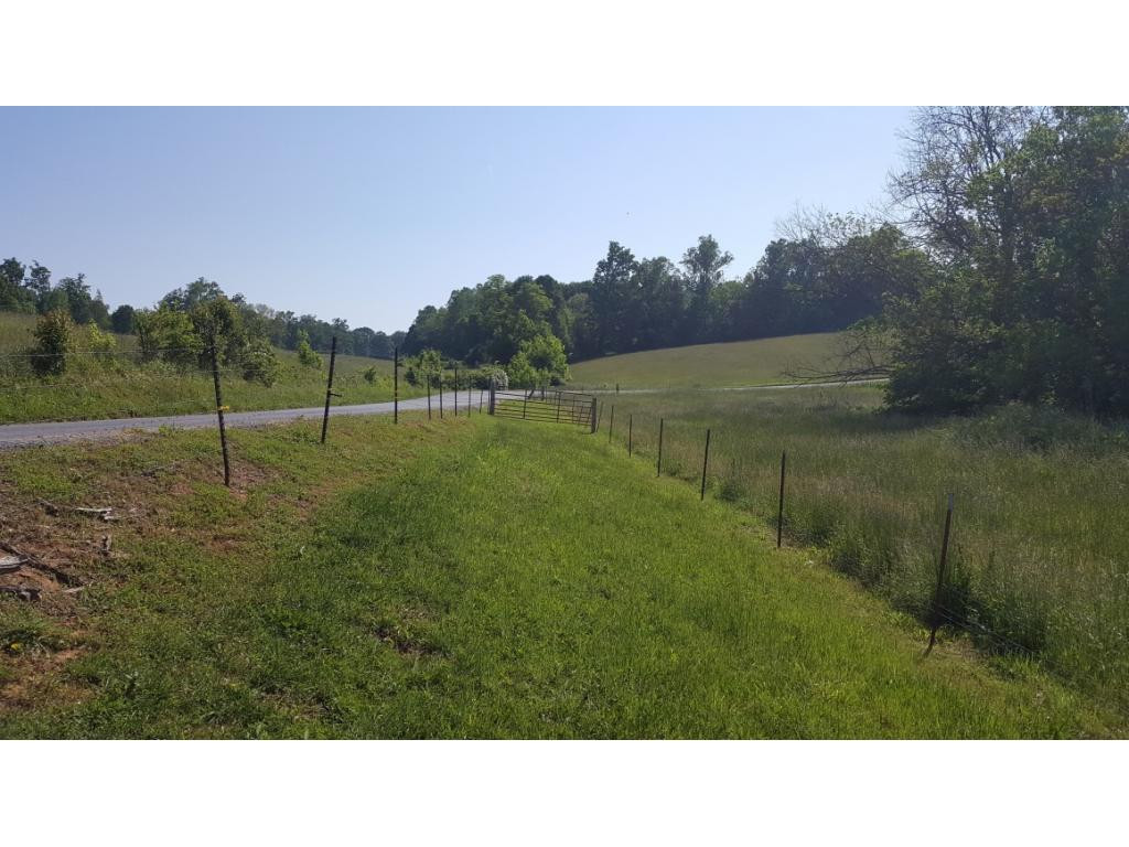 1670 Holly Creek Road Greeneville, TN 37745 - Photo 23 of 31 Photo 23