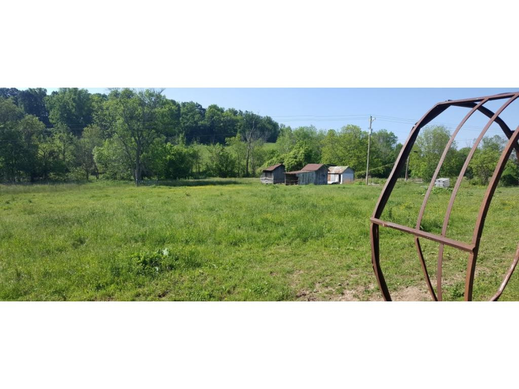 1670 Holly Creek Road Greeneville, TN 37745 - Photo 26 of 31 Photo 26