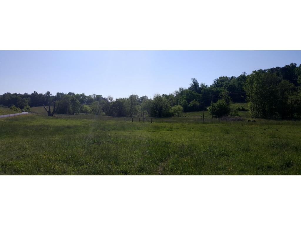 1670 Holly Creek Road Greeneville, TN 37745 - Photo 28 of 31 Photo 28