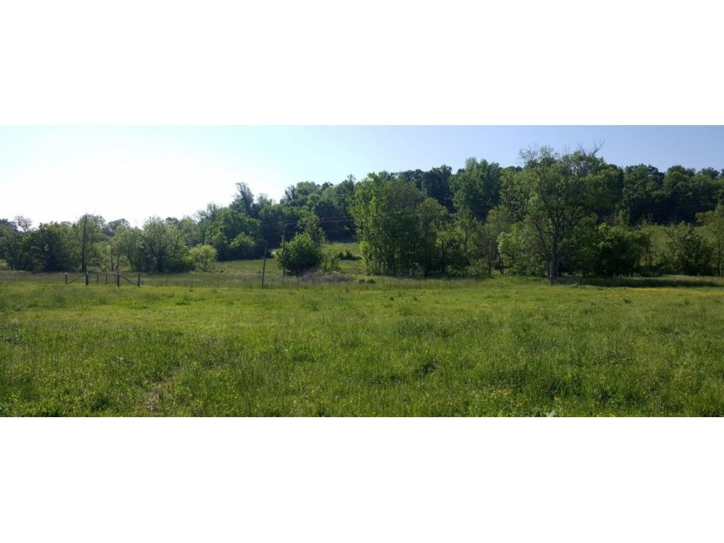 1670 Holly Creek Road Greeneville, TN 37745 - Photo 29 of 31 Photo 29