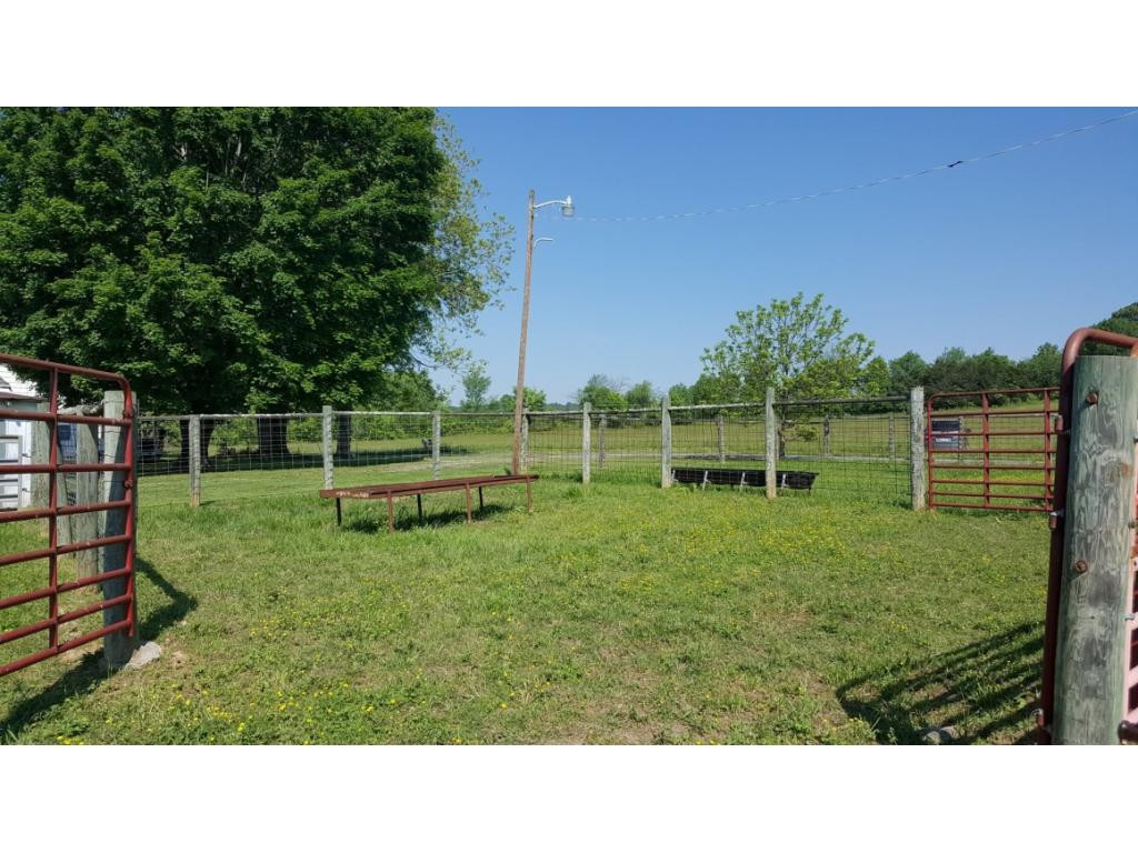 1670 Holly Creek Road Greeneville, TN 37745 - Photo 31 of 31 Photo 31