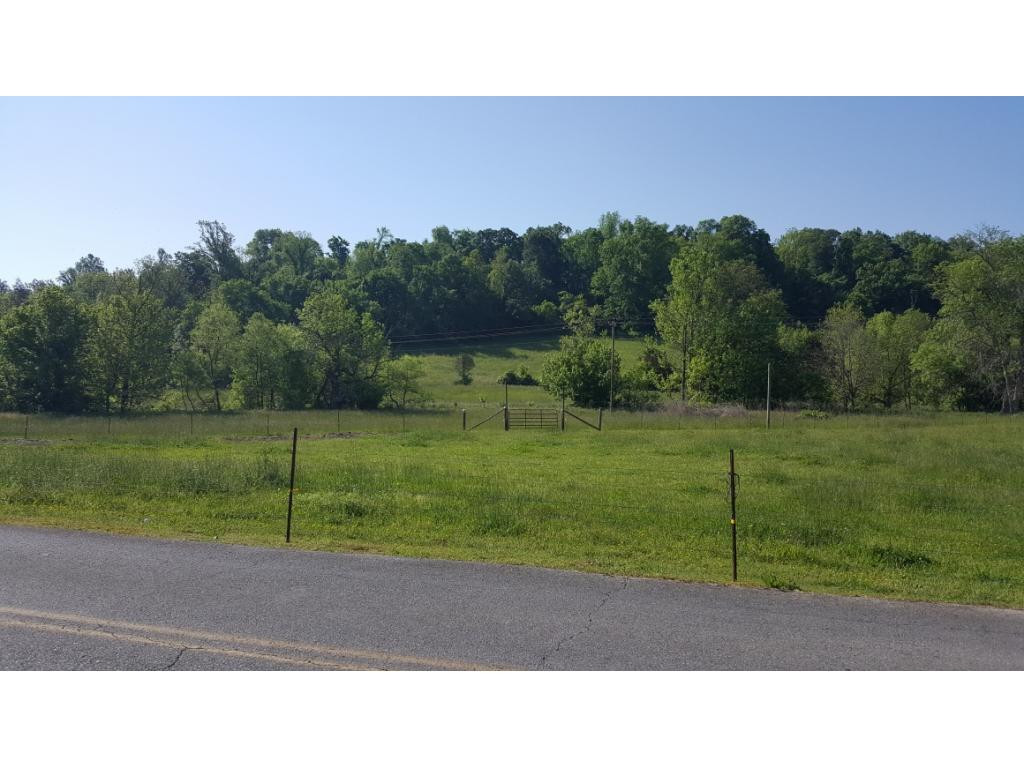 1670 Holly Creek Road Greeneville, TN 37745 - Photo 4 of 31 Photo 4