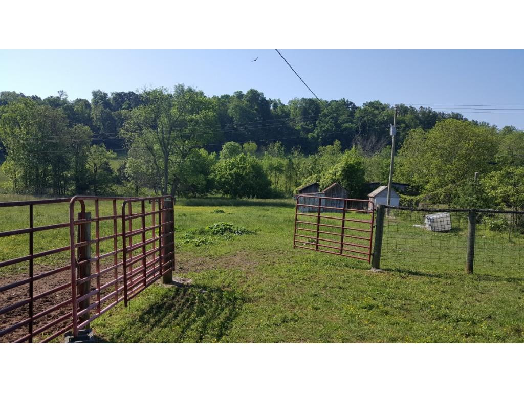 1670 Holly Creek Road Greeneville, TN 37745 - Photo 6 of 31 Photo 6