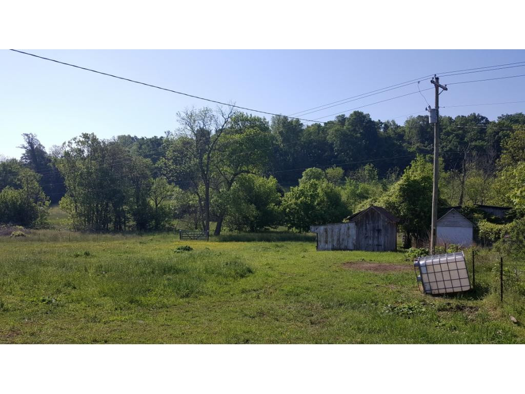 1670 Holly Creek Road Greeneville, TN 37745 - Photo 7 of 31 Photo 7
