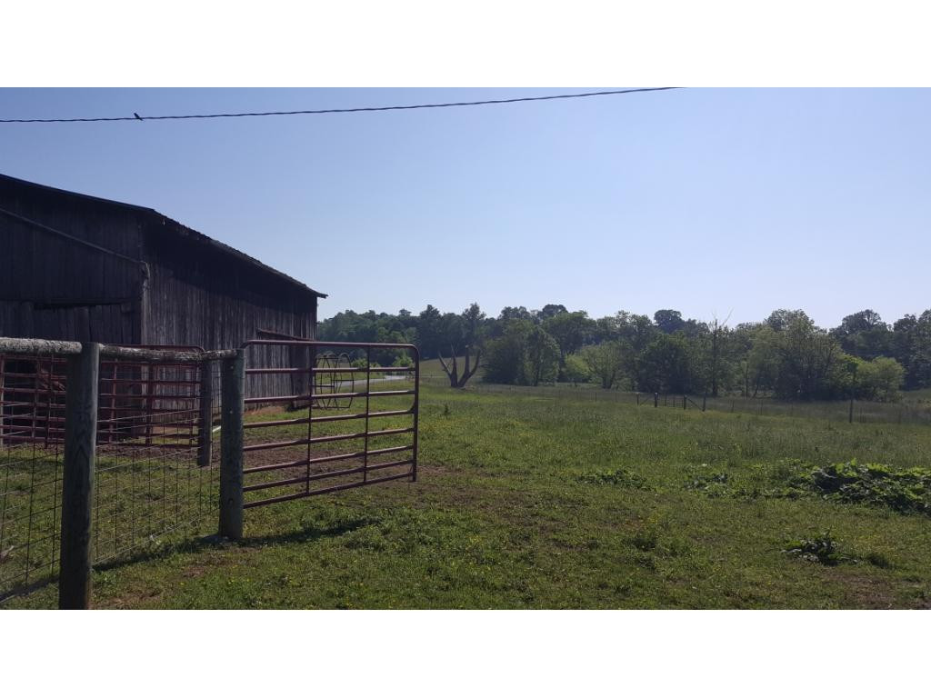 1670 Holly Creek Road Greeneville, TN 37745 - Photo 8 of 31 Photo 8