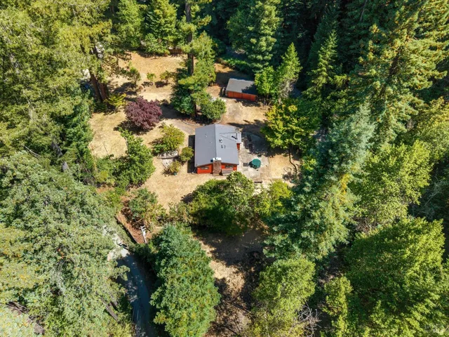 a view of a forest with lush green forest