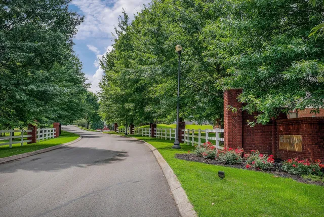 a view of a park with large trees and a car parked in front of a house