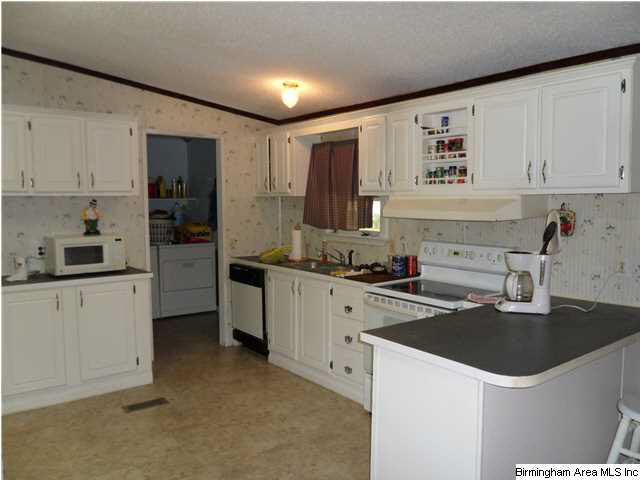 4185 Warrior Jasper Road Dora, AL 35062 - Photo 13 of 32