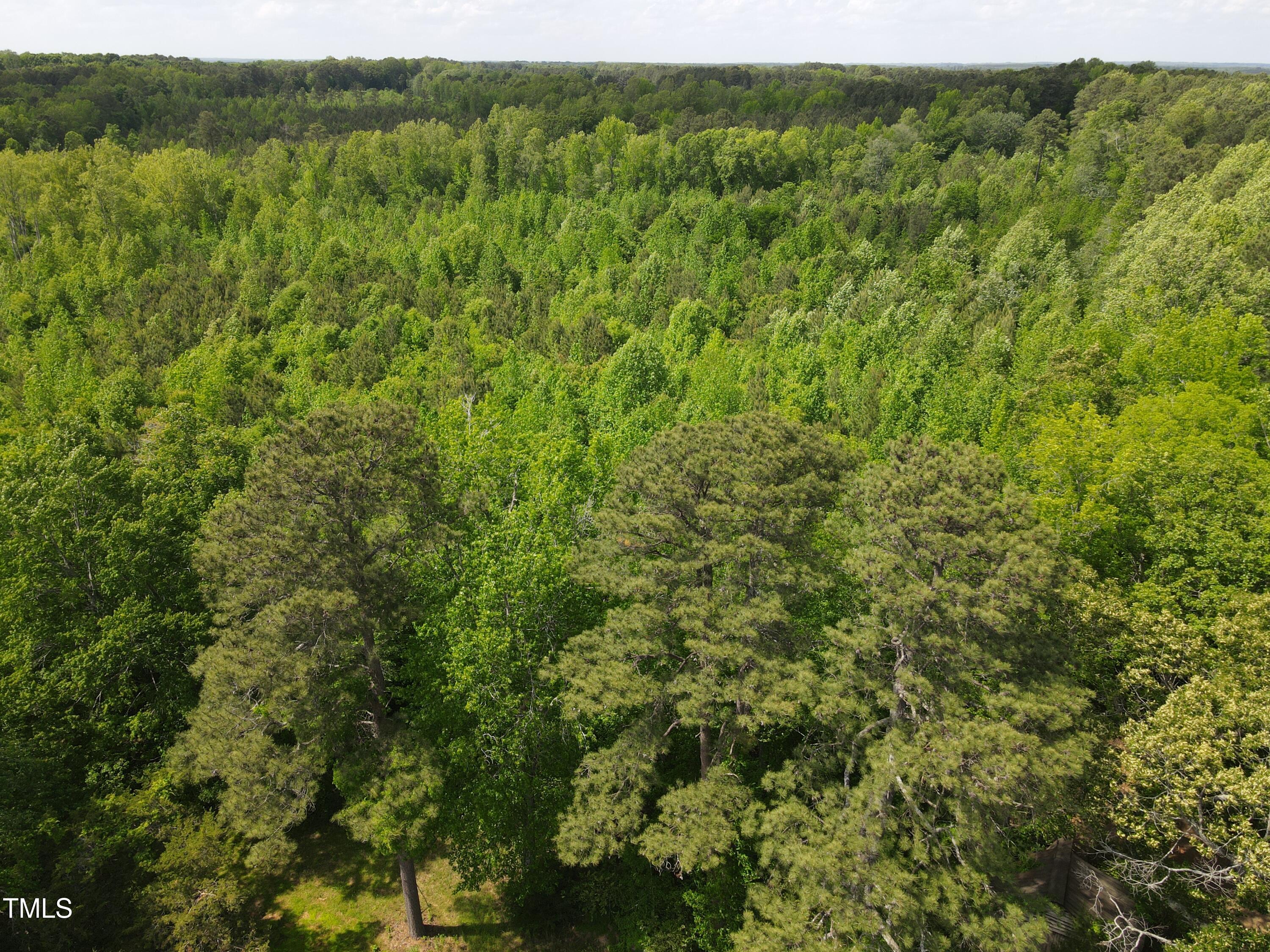 0 Alert Road Warrenton, NC 27589 - Photo 27 of 35