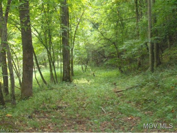 0 Chanteclair Road Cairo, WV 26337 - Photo 8 of 8 Gallery Image 8