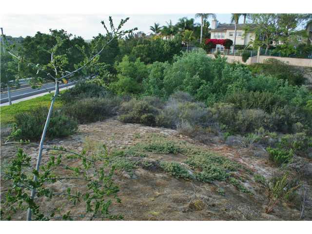 0 Plum Tree Road Carlsbad, CA 92011 - Photo 3 of 4