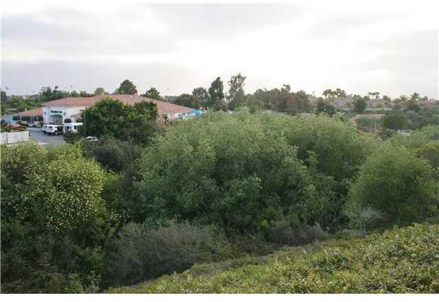 0 Plum Tree Road Carlsbad, CA 92011 - Photo 4 of 4