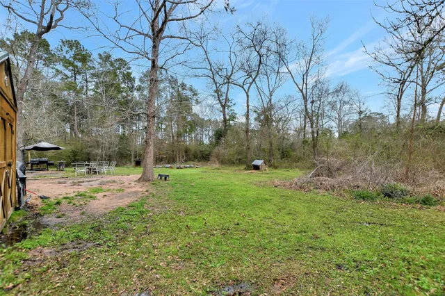 a view of a backyard with large trees