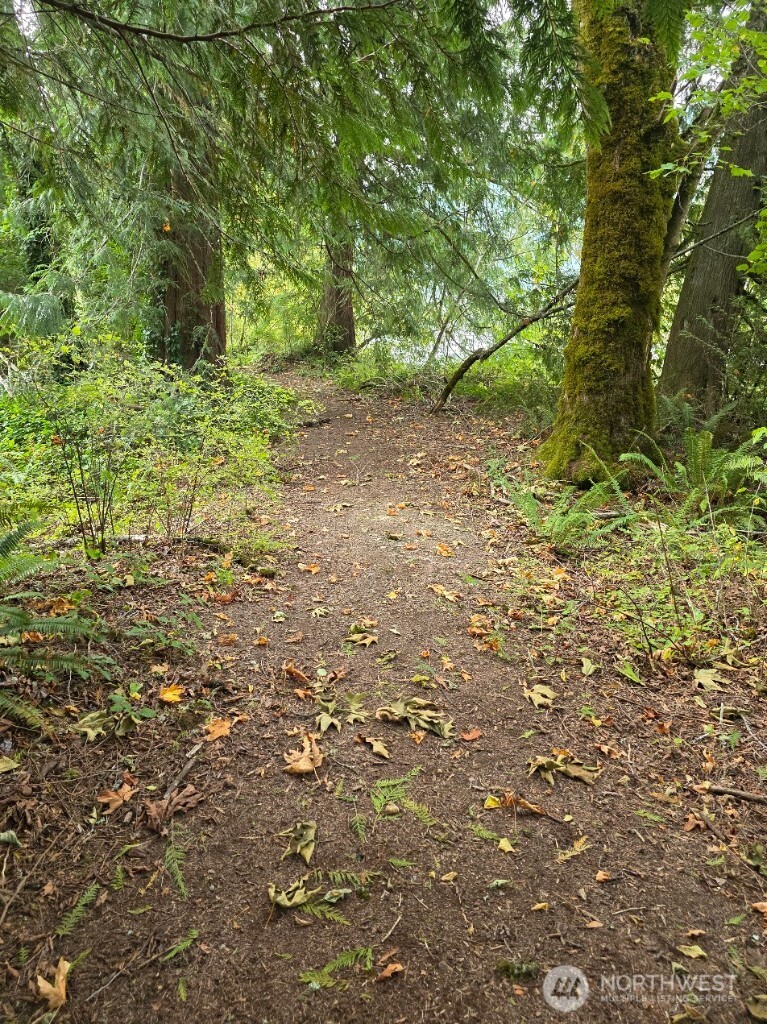 1212 Croft Avenue Gold Bar, WA 98251 - Photo 11 of 14 a view of a yard with a tree