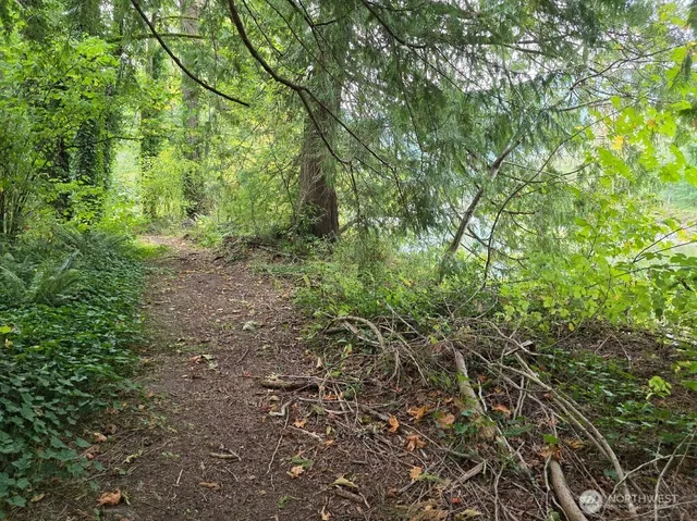 a view of a yard with plants and trees