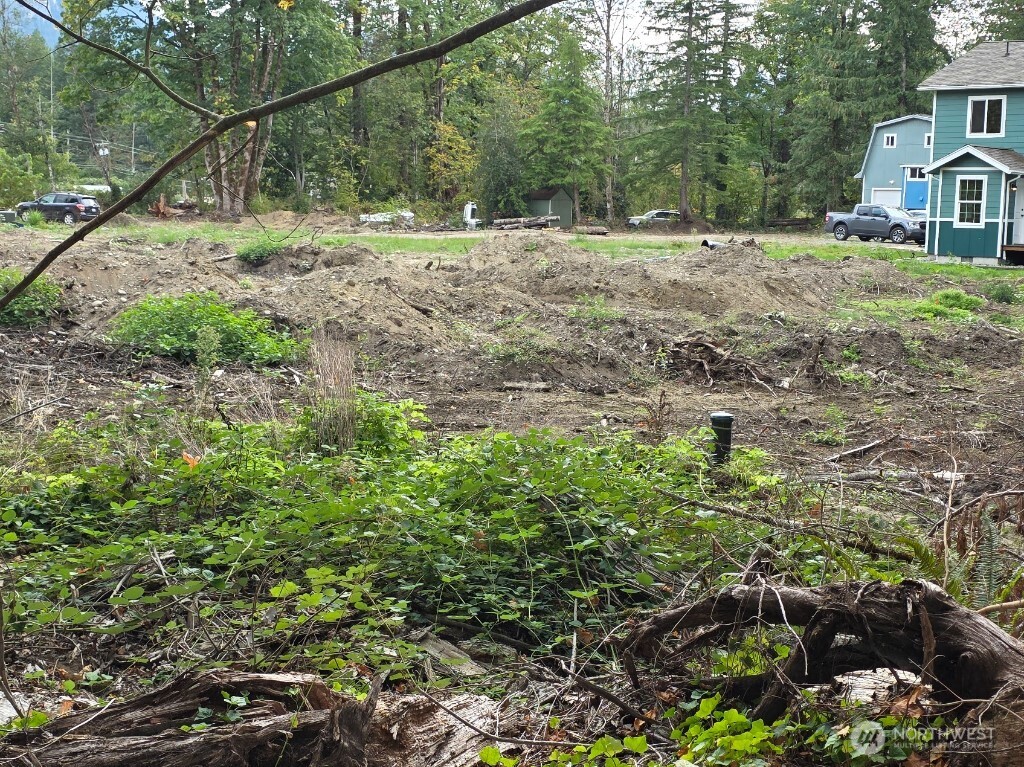 1212 Croft Avenue Gold Bar, WA 98251 - Photo 13 of 14 a view of a yard with plants and trees