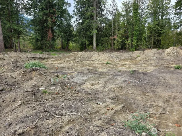 a view of a covered with trees